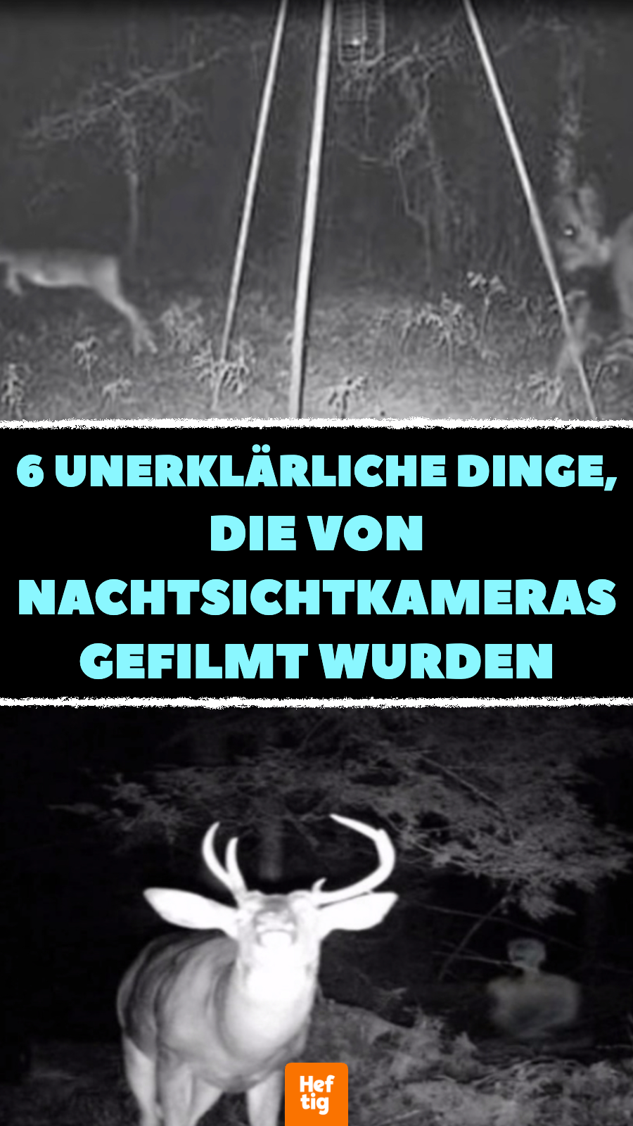 6 unerklärliche Dinge, die von Nachtsichtkameras gefilmt wurden