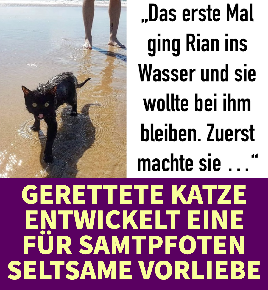 Gerettete Samtpfote ist verrückt nach Wellen, Wasser und Strand