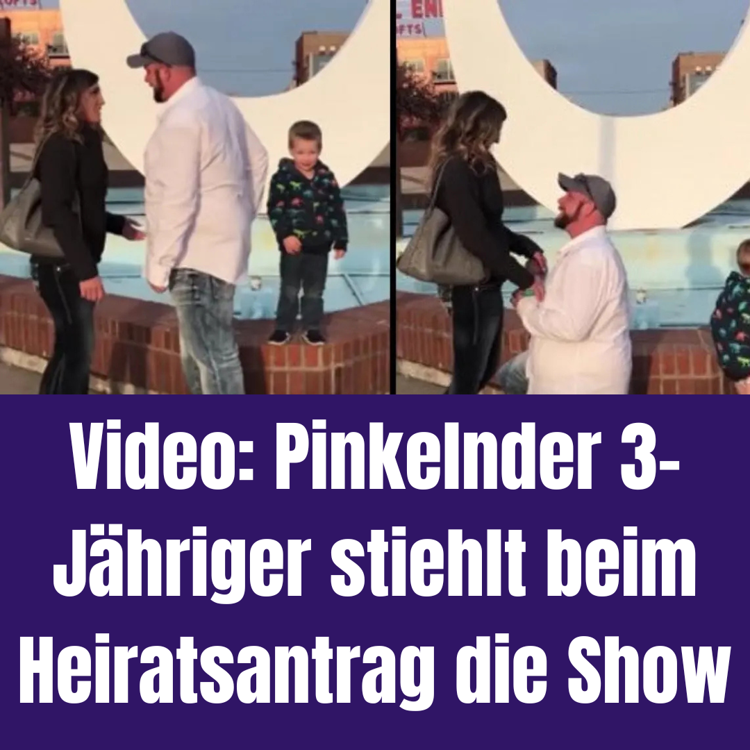 Pinkelnder 3-Jähriger stiehlt beim Heiratsantrag die Show