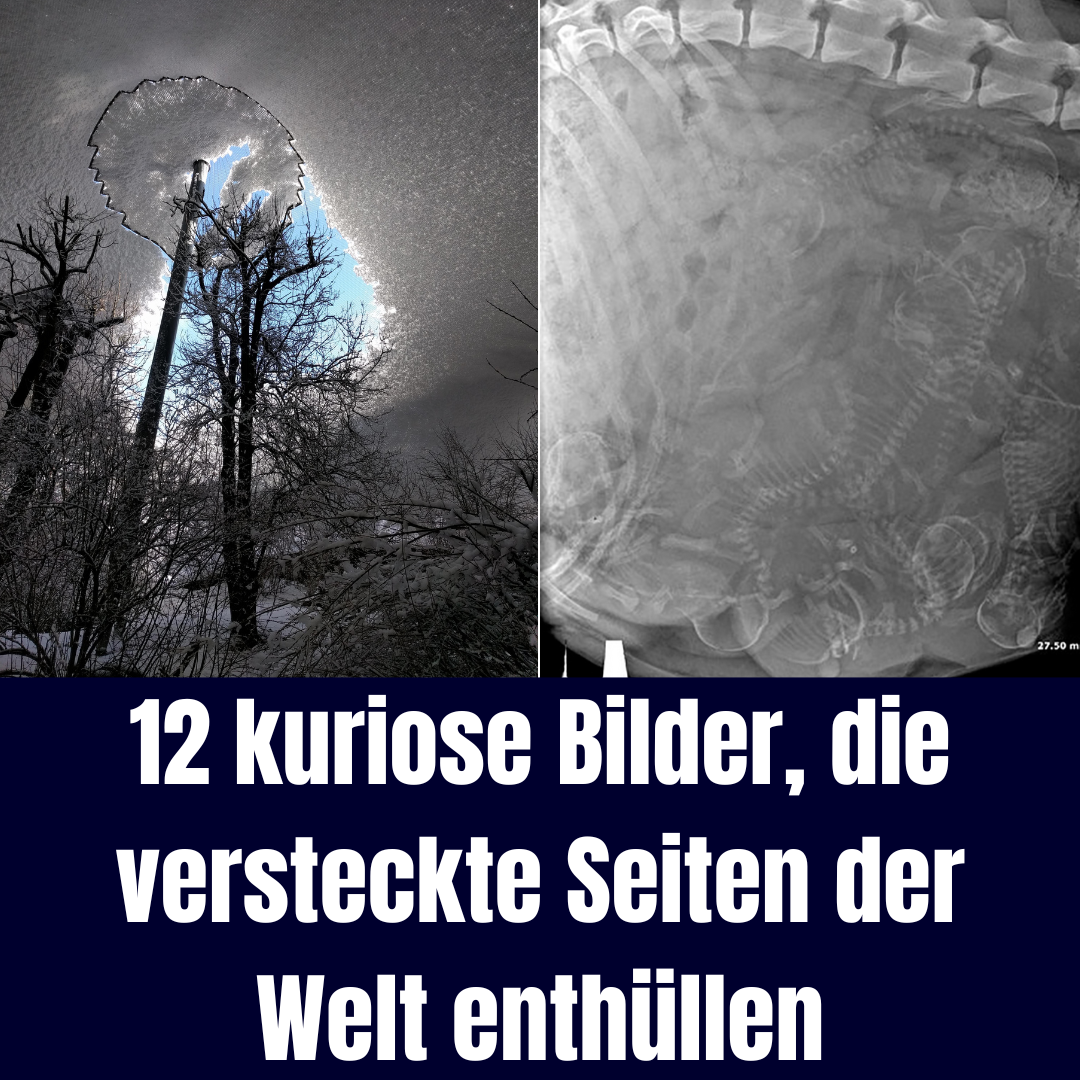 12 kuriose Bilder, die versteckte Seiten der Welt enthüllen