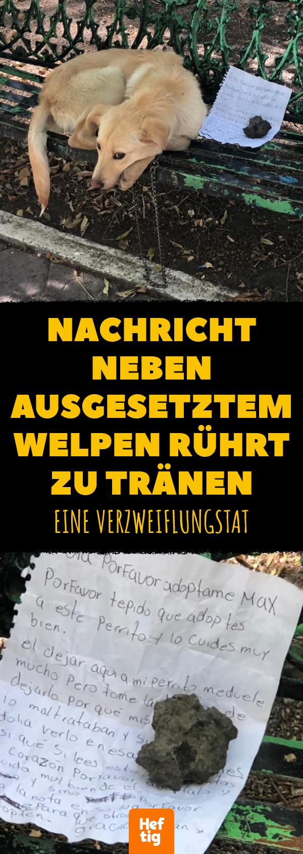 Finderin von Nachricht neben Welpen zu Tränen gerührt