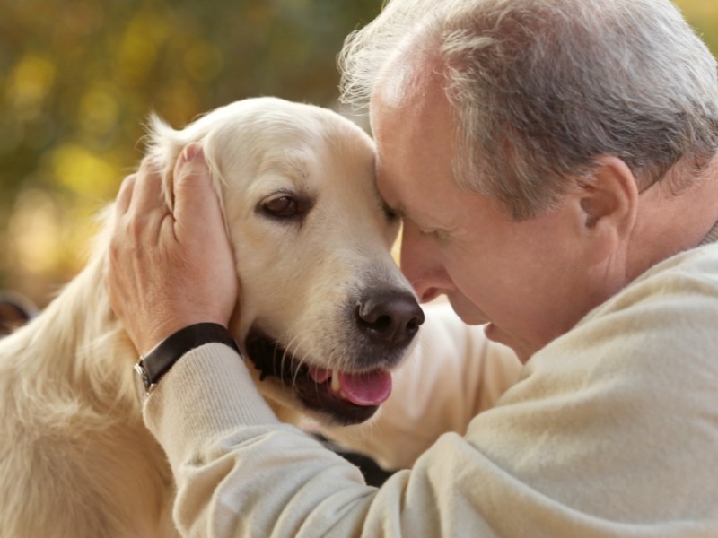 Älterer Mann und großer Hund.