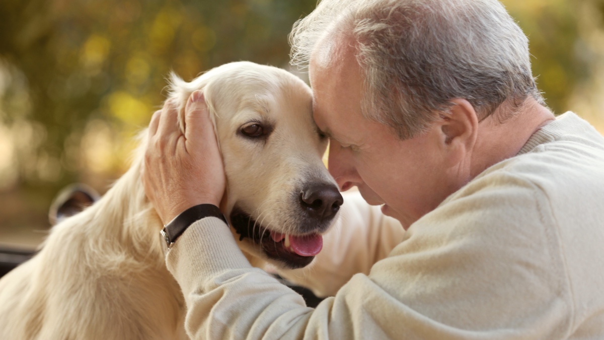 Älterer Mann und großer Hund.