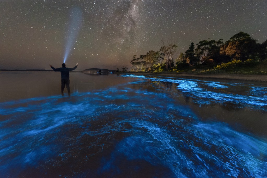 Ein Mann steht nachts an einem Strand in einem Meer aus leuchtendem Plankton.