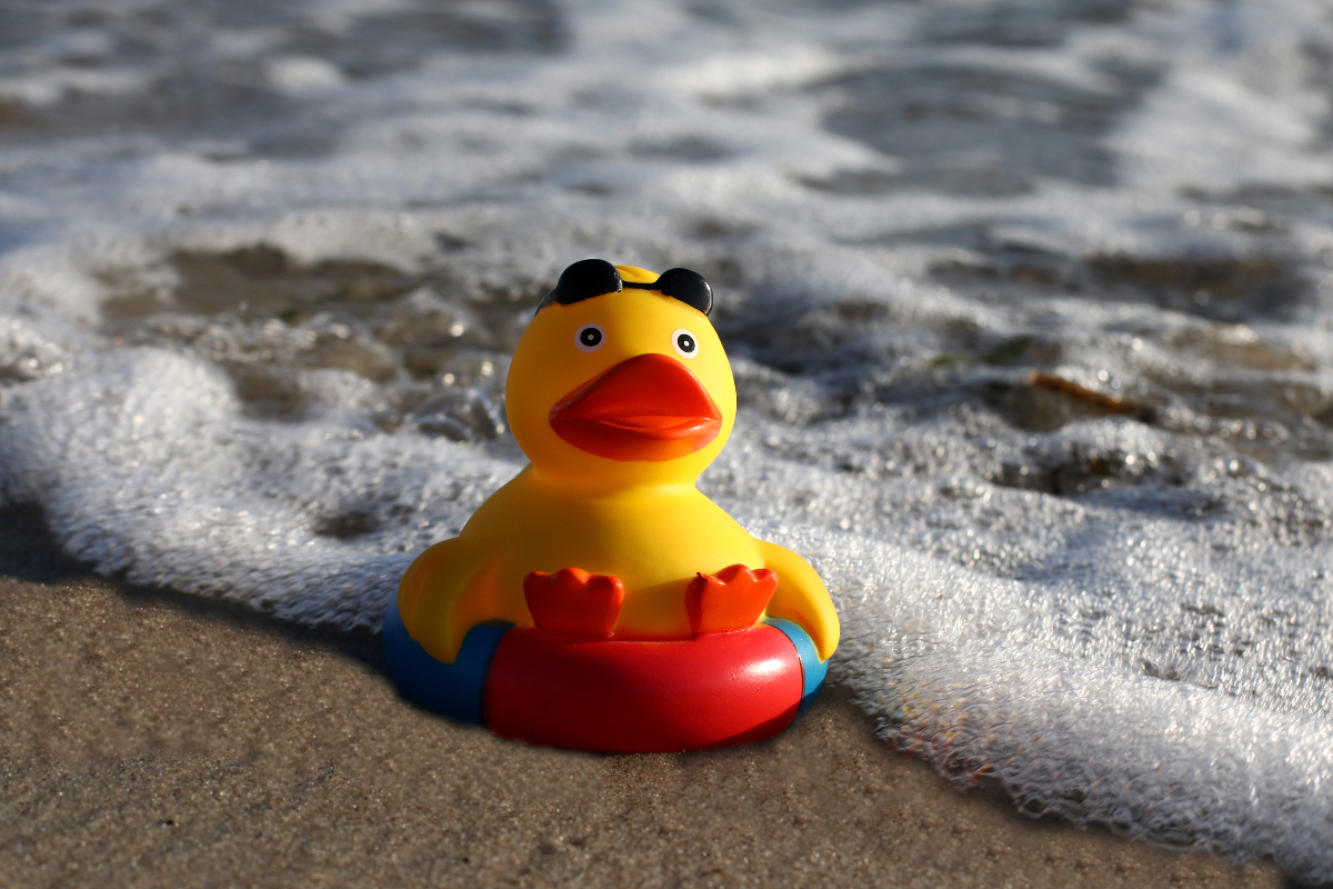 Eine Gummiente mit Sonnenbrille an einem Strand im Wasser.