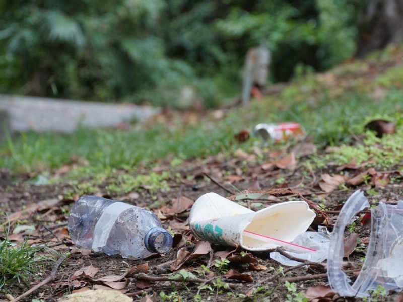 Plastikflaschen, Pappbecher und anderer Müll liegen auf einem Rasen.