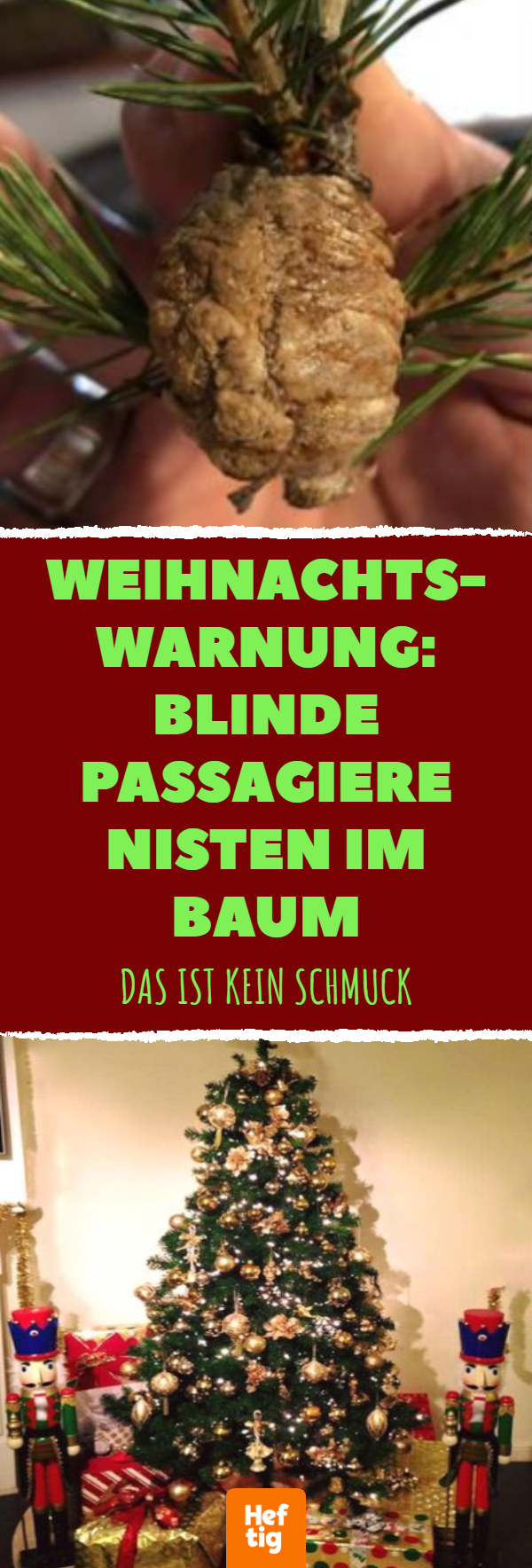 Weihnachtsbaum: Mann warnt vor kuriosem „Tannenzapfen“