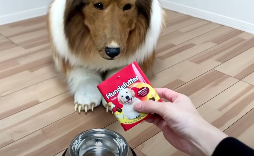 Ein als Hund verkleideter Mann sitzt vor einem Futternapf, der mit Hundefutter gefüllt wird.