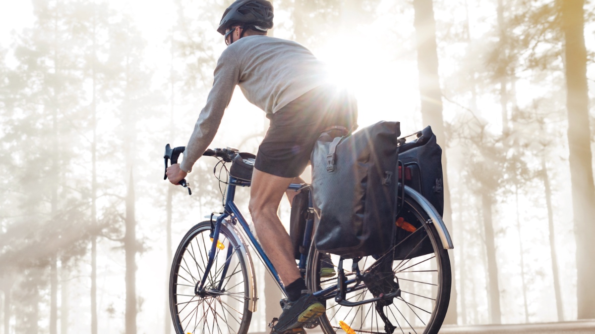 Fahrradfahrer fährt durch den Wald.