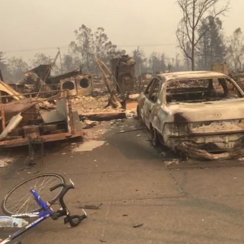 Ein Gebiet, das von einem Flächenbrand verwüstet wurde.