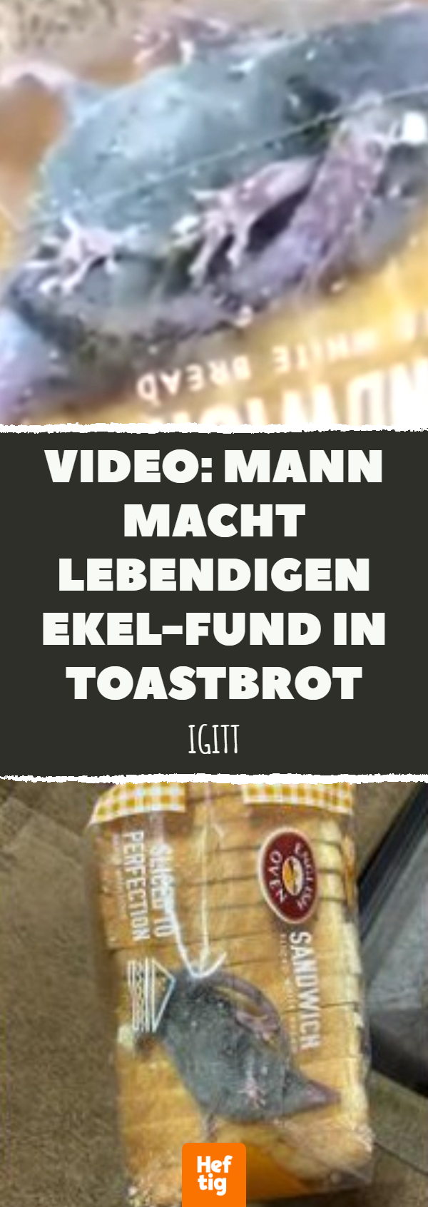 Video: Mann macht lebendigen Ekel-Fund in Toastbrot