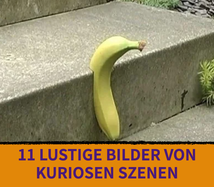 Lustige Bilder, die einen verwirrt zurücklassen