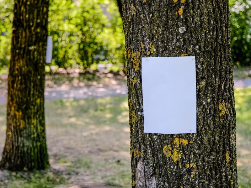 Eine Vermisst-Meldung hängt an einem Baum in einem Park.