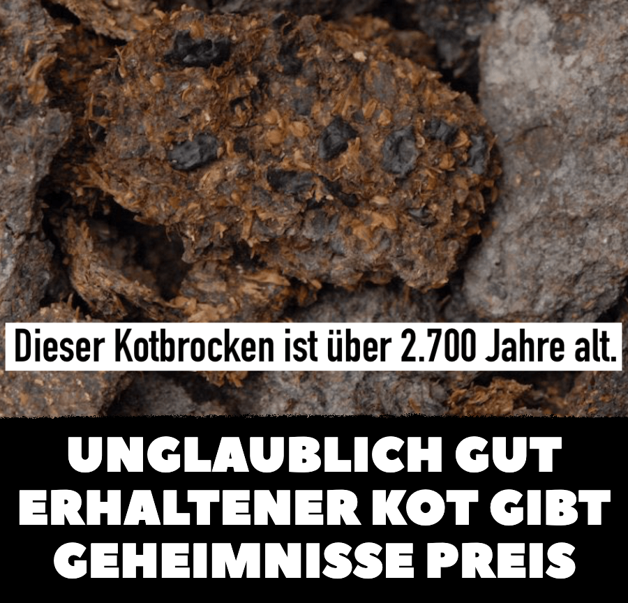 Unglaublich gut erhaltener Kot gibt Geheimnisse preis