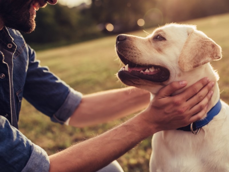 Ein Mann und ein Hund lächeln einander an.