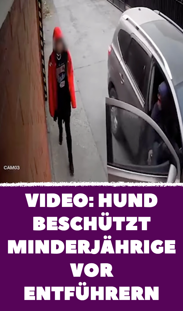 Video: Hund beschützt Minderjährige vor Entführern