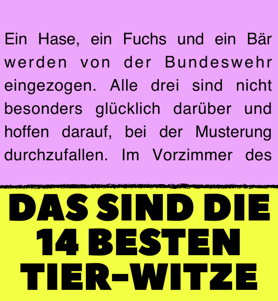 DAS sind die 14 besten Tier-Witze