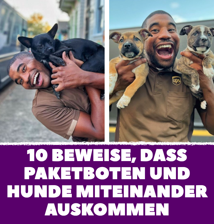 Paketzusteller beweist, dass er sich mit Hunden verträgt