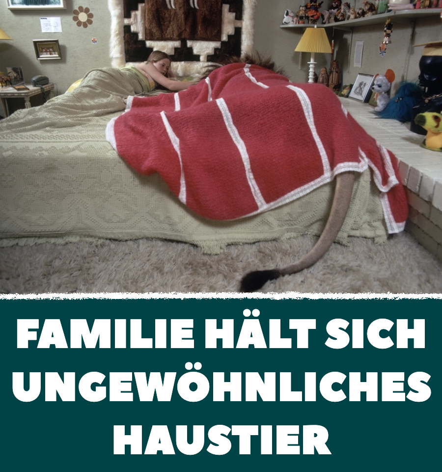 Familie lebt mit Löwen zusammen