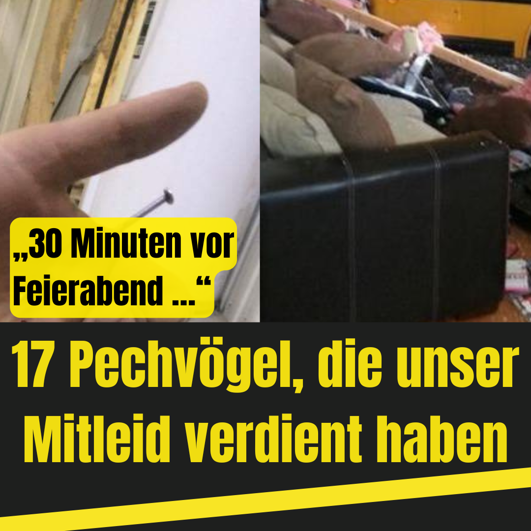 17 Pechvögel, die unser Mitleid verdient haben